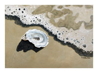 Struna Galleries of Brewster and Chatham, Cape Cod Giclee Reproductions  - Purchase this *Oyster Shell Online!