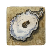 Struna Galleries of Brewster and Chatham, Cape Cod Original Copper Plate Engravings  - Purchase this Oyster II Online!