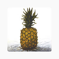 Struna Galleries of Brewster and Chatham, Cape Cod Original Copper Plate Engravings  - Purchase this Pineapple Online!