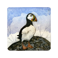 Struna Galleries of Brewster and Chatham, Cape Cod Original Copper Plate Engravings  - Purchase this *Puffin - New Online!
