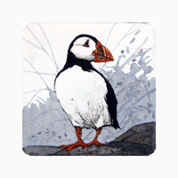 Struna Galleries of Brewster and Chatham, Cape Cod Original Copper Plate Engravings  - Purchase this Puffin Online!