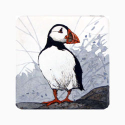  Store - Puffin