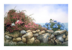 Struna Galleries of Brewster and Chatham, Cape Cod Giclee Reproductions  - Purchase this Rock Garden Online!