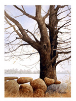 Struna Galleries of Brewster and Chatham, Cape Cod Giclee Reproductions  - Purchase this Rockwood Online!