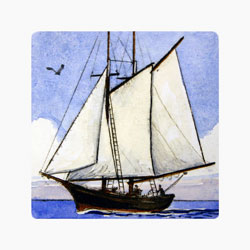  Store - Schooner