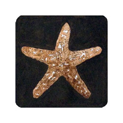  Store - Sea Star dark background