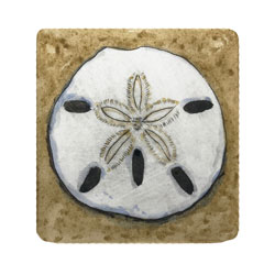  Store - Sand Dollar