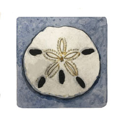  Store - *Sand Dollar - Blue