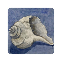 Struna Galleries of Brewster and Chatham, Cape Cod Original Copper Plate Engravings  - Purchase this *Whelk - Blue Online!