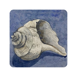  Store - *Whelk - Blue