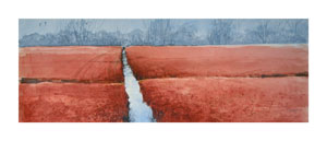 Struna Galleries of Brewster and Chatham, Cape Cod Giclee Reproductions  - Purchase this Winter Bog Online!
