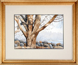Struna Galleries of Brewster and Chatham, Cape Cod Offset Reproductions  - Purchase this Fallen Leaves, Fallen Walls Online!