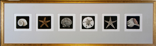 Struna Galleries of Brewster and Chatham, Cape Cod Original Copper Plate Engravings  - Purchase this Shell Series Online!