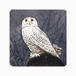  Store - *Snowy Owl