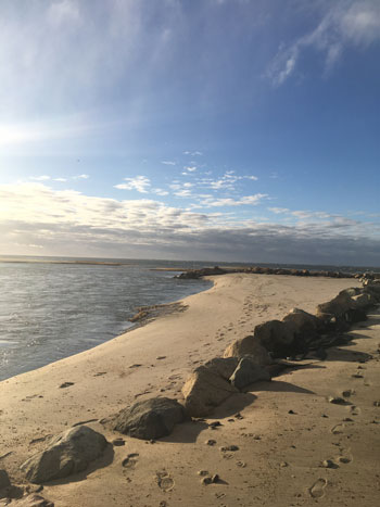 Winter Beach Walk Winter Beach Walk