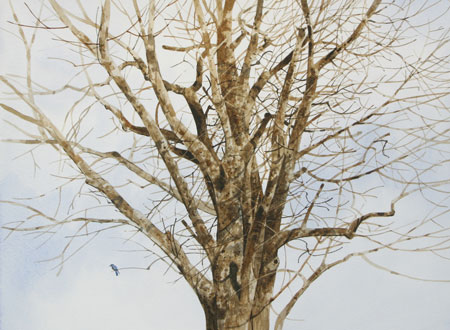 Blue Bird Blue Bird