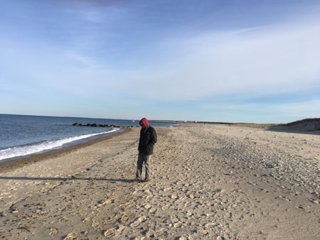 Sandwich Boardwalk Sandwich Boardwalk