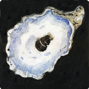 Oyster II