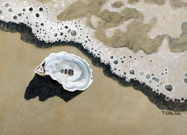 Oyster Shell