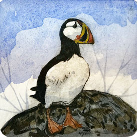 Puffin Puffin