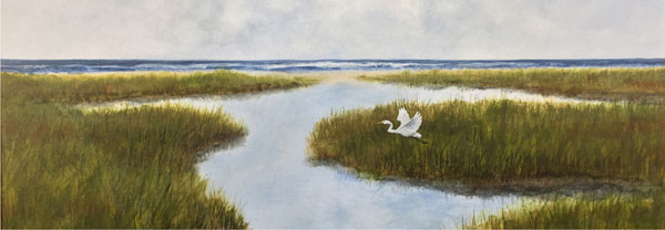 Salt Marsh Salt Marsh